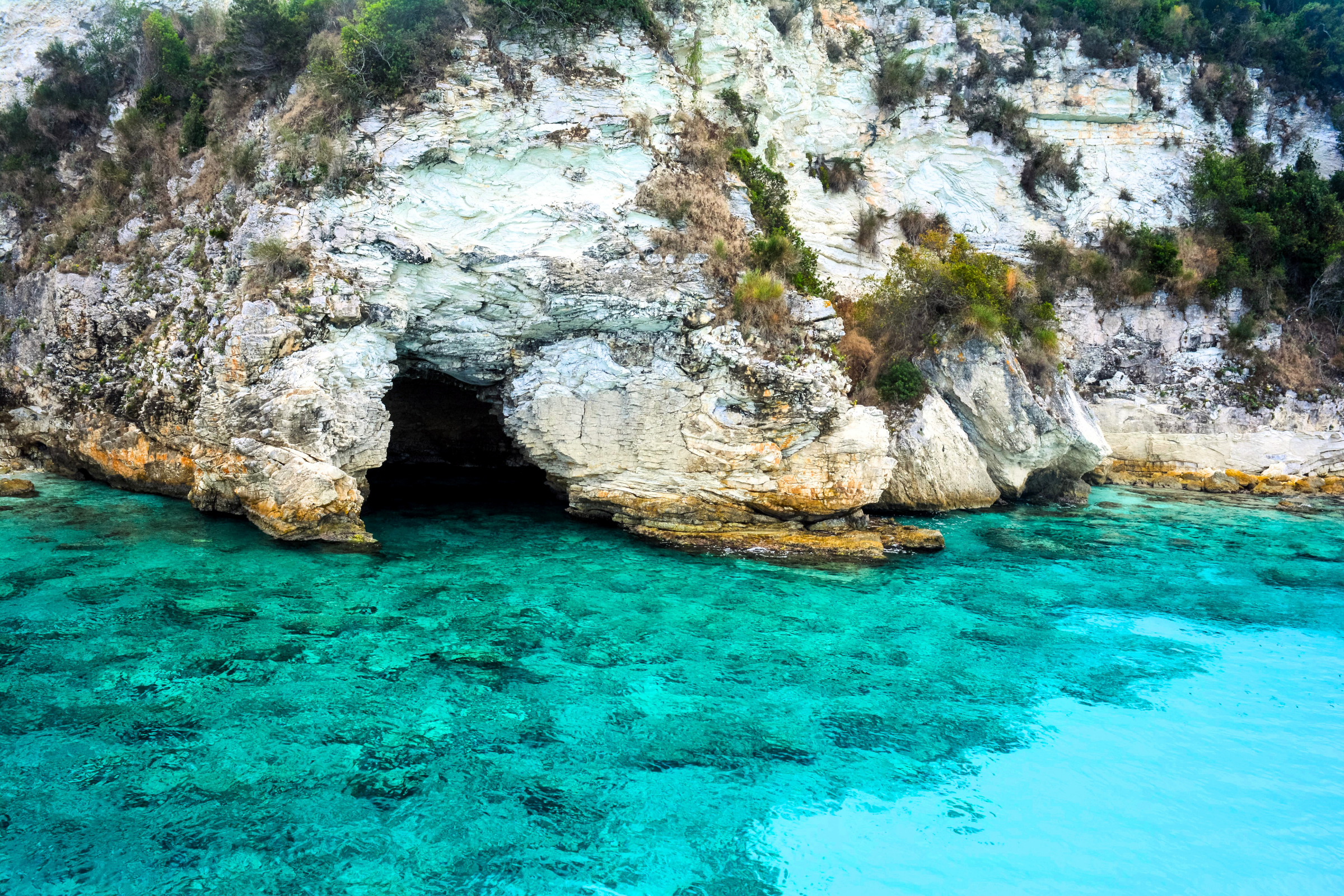 98 paxos.webp